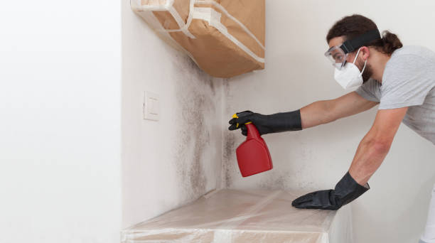Professional Basement Mold Remediation technician working in Diggs, VA