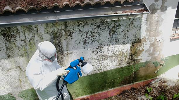 Top rated local Mold Remediation specialists in Diggs, VA